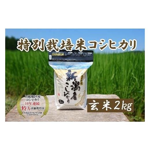 ふるさと納税 新潟県 上越市 令和5年産｜新潟上越三和産｜特別栽培米コシヒカリ（従来種）2kg（2kg×1）玄米