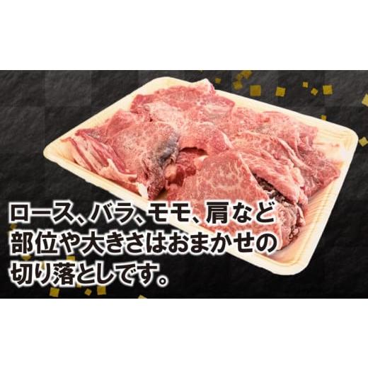 ふるさと納税 徳島県 阿波市 黒毛和牛 切り落とし 1kg 肉 にく 牛肉 焼肉 赤身 焼肉 ロース 肩 モモ  冷凍 すき焼き しゃぶしゃぶ ステーキ ふるさとチョイス …