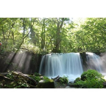 限量.東北旅遊|仙台.青森雙點進出.奧入瀨溪流散策.銀山溫泉街.藏王御釜.立石山寺.松島遊船.和牛吃到飽.螃蟹溫泉六日_SJP26SDJ63
