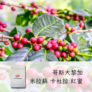 哥斯大黎加 米拉蘇莊園 卡杜拉 紅蜜 中淺焙 (半磅)【柏克斯咖啡】
