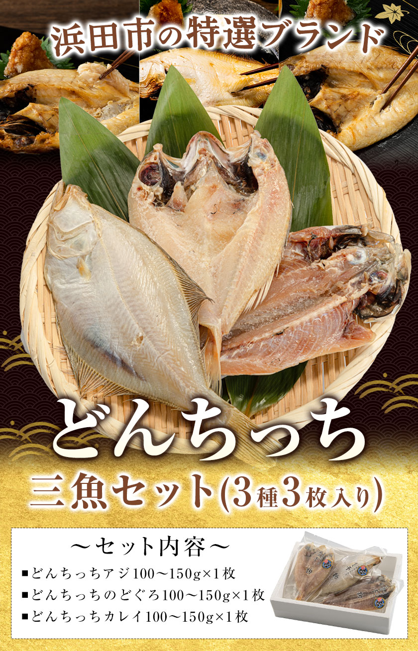 どんちっち 干物 3種3枚セット のどぐろ アジ カレイ 冷凍 100g〜150g×3枚 送料無料 産地直送 干物 浜田 島根 7-14営業日以内に発送（土日祝除く）