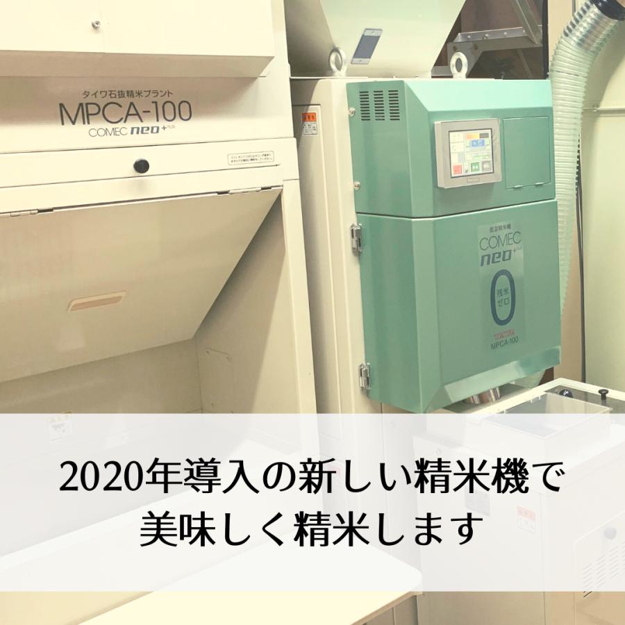 滋賀県産 にじのきらめき  令和5年 玄米30Kg 1等