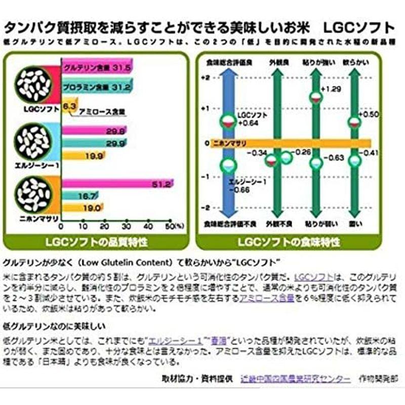 精米済み令和4年産 低グルテリン米 岐阜県産 お米 ＬＧＣソフト 5kg タンパク質制限