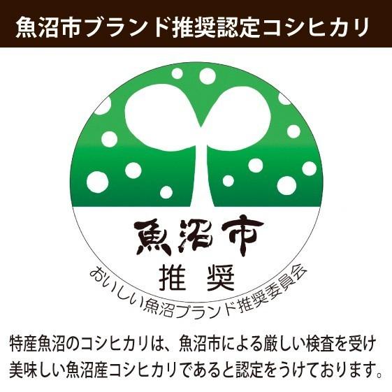 新米 お米２０ｋｇ 令和5年産 魚沼産コシヒカリ 無洗米5kg×４袋  安心安全 農家直送 信頼と品質のお米 魚沼市推奨コシヒカリ 送料無料