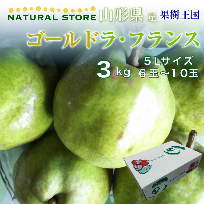 [予約 11月15日～12月25日納品] 山形県産 洋梨 ゴールドラ・フランス 5L 6-10玉 山形県 JAさくらんぼひがしね 果樹王国 ラフランス ギフト