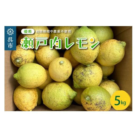 ふるさと納税 広島県 呉市 大崎下島産 栽培期間中農薬不使用 瀬戸内レモン 5kg