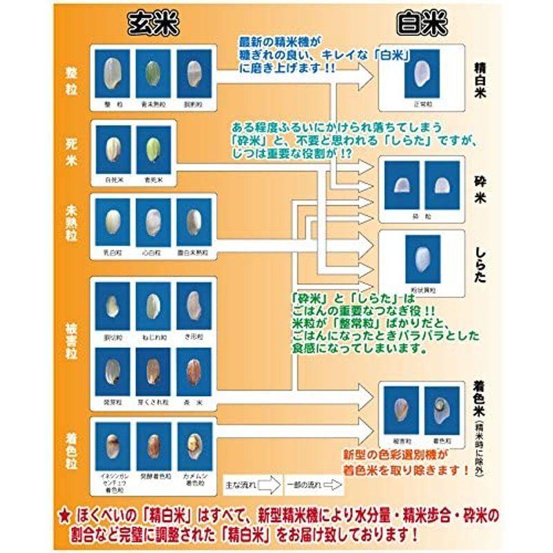 令和4年産 つや姫 30kg 白米 (5kg×6袋) 山形県産 特別栽培米