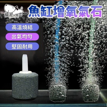 【台灣出貨】魚缸增氧氣石｜打氧石｜增氧氣泡石｜溶氧石｜氣泡石｜水族增氧石｜水族氧氣石｜魚缸增氧配件