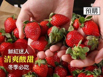 特選鮮採大湖草莓(2盒)