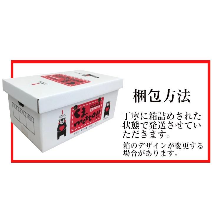 熊本特産詰め合せ果物２点セット1 アールスメロン・デコポン 送料無料 果物ギフト ギフト・ご贈答用 果物詰め合わせギフト