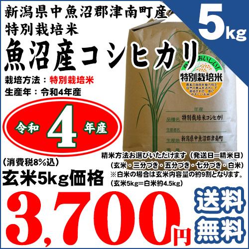 新潟県津南町産 特別栽培米 魚沼産コシヒカリ 玄米5kg（精米方法お選びいただけます） 令和5年産