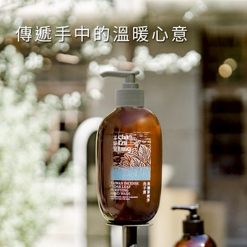 [快速出貨]【茶籽堂】潔淨相伴療癒｜肖楠葉純淨洗手露500mL 附品牌紙袋