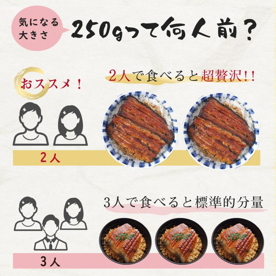 鹿児島県産 特大うなぎの蒲焼き 約250g うなぎ 国産 ギフト 蒲焼き 無添加 内祝い きざみ 誕生日 特大 ひつまぶし]