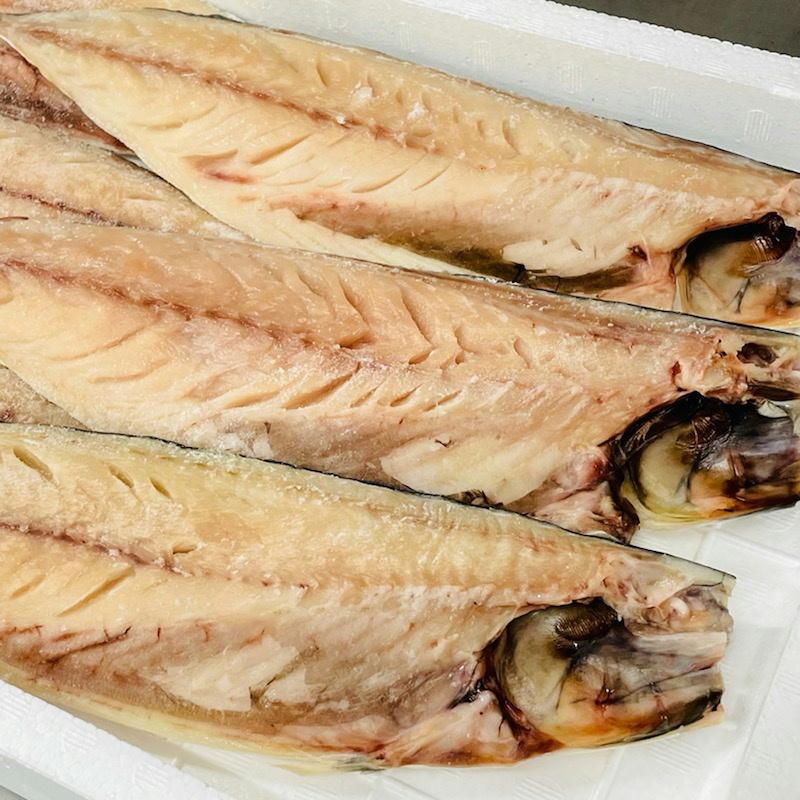 さば文化干し 鯖の干物 6枚(特大サイズ1枚当たり約170g)脂のっています