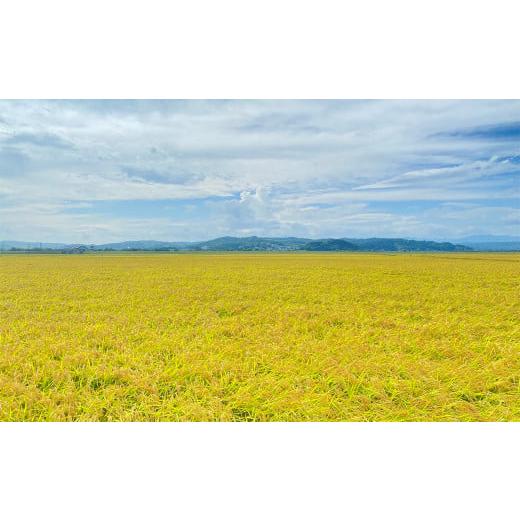 ふるさと納税 岩手県 平泉町 平泉町産もち米 こがねもち 10kg（5kg×2袋）