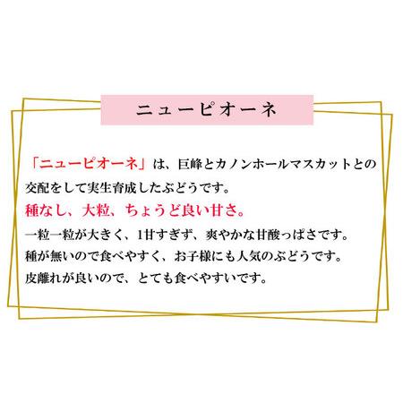 ふるさと納税 ぶどう 2024年 先行予約 ニュー ピオーネ 約2kg 3〜6房 種無し ブドウ 葡萄  岡山県産 国産 フルーツ 果物 ギフト 岡山県岡山市