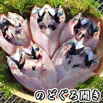 のどぐろ一夜干し（冷凍） 超特大サイズ 1枚 約350-399ｇ 山陰沖産　赤睦・ノドグロ・干物・開き