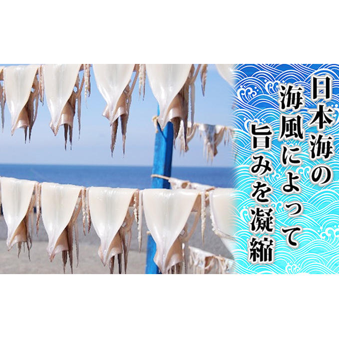 イカ 定期便 4回 青森県産 一本釣りいか 使用 鰺ヶ沢名物 天日生干しイカ セット （1kg以上3枚～5枚入り×4回） いか 干物 するめ スルメ 魚介類 魚介 定期 お楽しみ ※ ご入金確認後