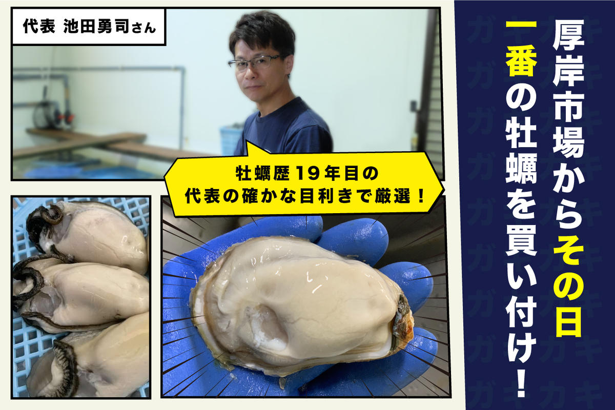 北海道 厚岸産 ちょびっと 牡蠣 むいちゃいました！ 生食用 300g カキ むき身