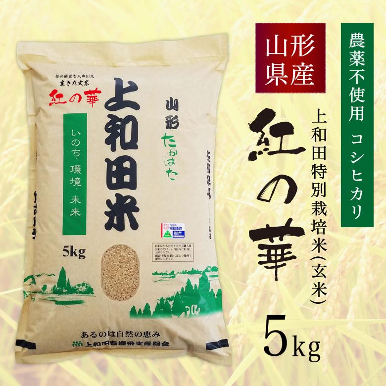 米 新米 コシヒカリ 5kg 農薬不使用 山形県産 お米 生きた玄米 紅の華 令和5年産 特A米 特別栽培米 上和田米