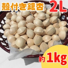 殻付き銀杏 (ぎんなん) 約1kg(200g×5パック)