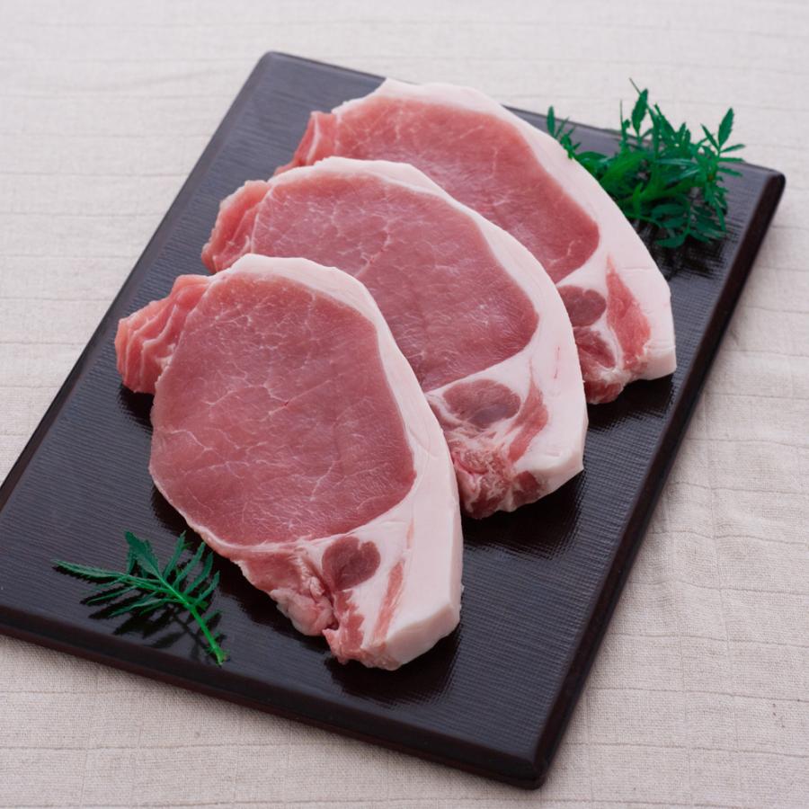 長野 信州オレイン豚ロースステーキ600g（120g×5） 豚肉 お肉 食品 お取り寄せグルメ ギフト 贈り物