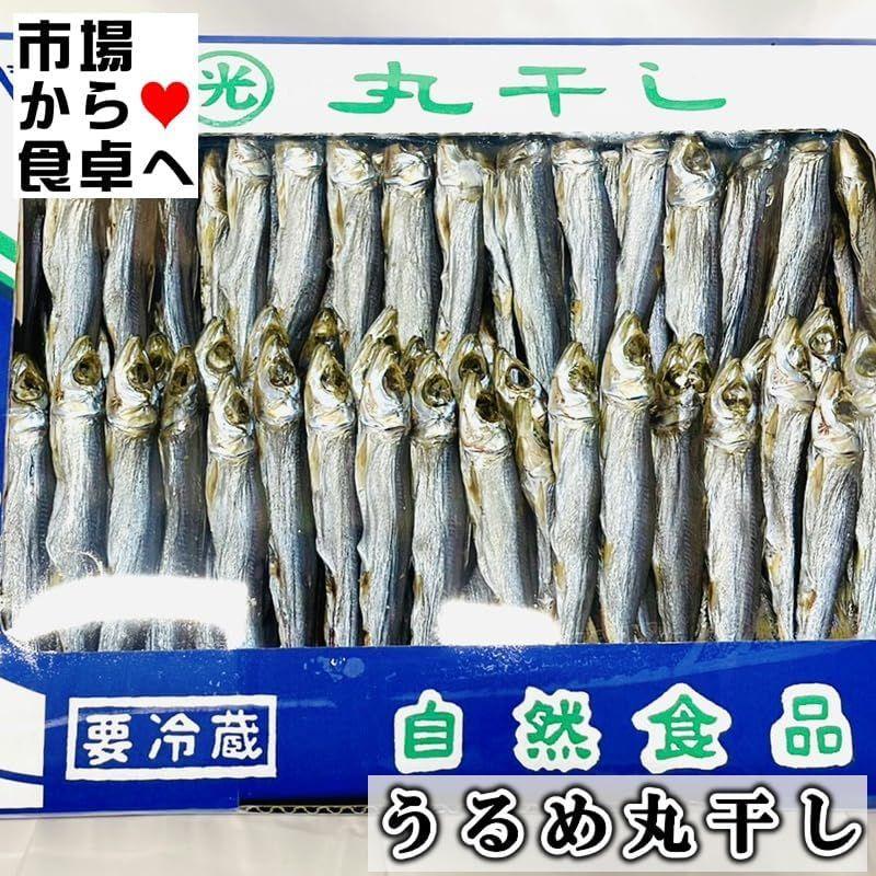 うるめいわし丸干し 上乾 1?鹿児島県産炙って酒のつまみに、ほろ苦さがたまりません冷凍便