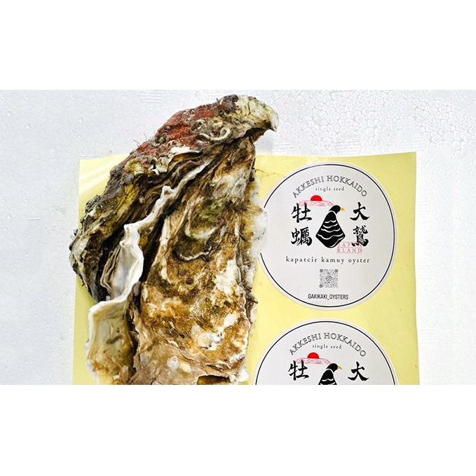 北海道 厚岸産 大鷲牡蠣 10個