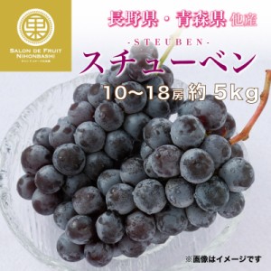 [予約 11月1日-11月15日の納品] スチューベン 10-18房 約5kg 長野県 山形県 青森県産他 冬ギフト お歳暮 御歳暮