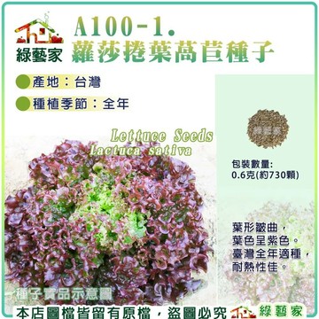 【綠藝家】A100-1.蘿莎捲葉萵苣種子0.6克(約730顆)產地台灣 葉形皺曲，葉色呈紫色。 葉菜類