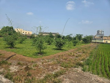 住商-TOP內湖店專約-雲林斗南農地｜雲林縣斗南鎮義德段