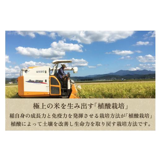 ふるさと納税 新潟県 加茂市 新潟産コシヒカリ「伝」白米真空パック 精米20kg（5kg×4）南麻布の高級料亭で提供される極上米 かやもり農園