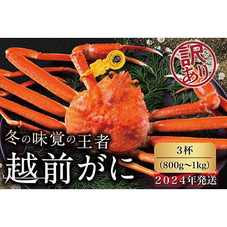 ふるさと納税 越前がに（オス）「ずわいがに」大サイズ（800g-1kg） 訳あり 3杯 福井県越前市