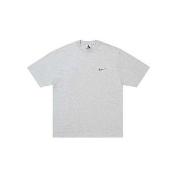 Palace x Nike Font Swoosh Tee 聯名 休閒 短袖 灰色 P28NTS005 [台灣現貨]