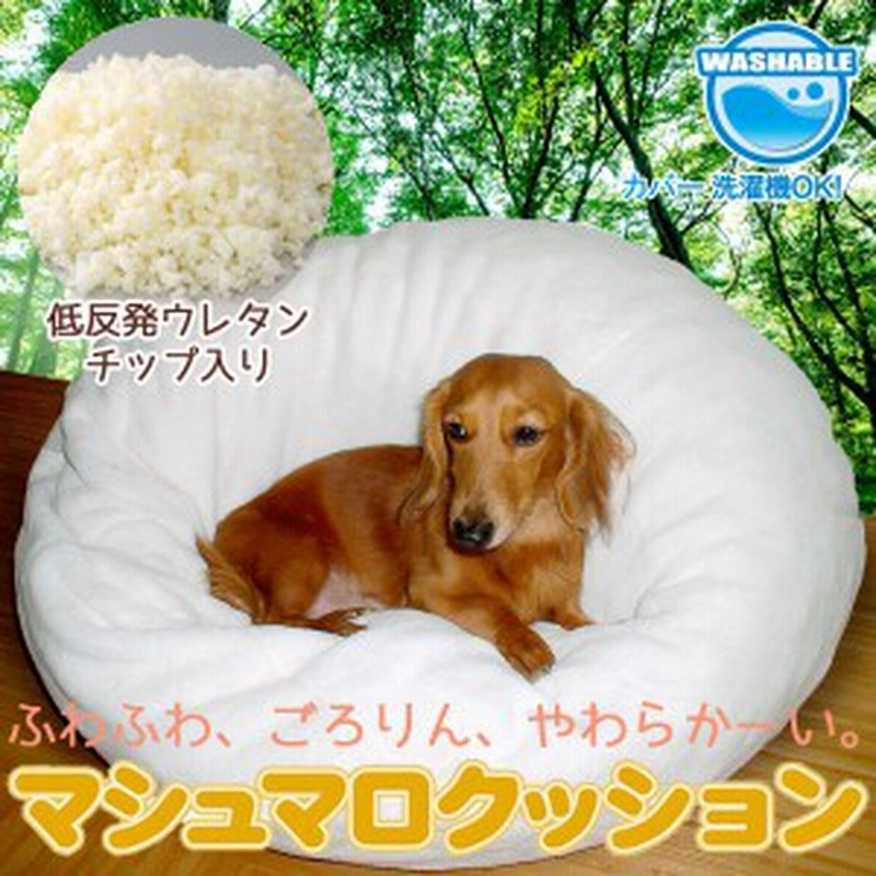 ペットクッション ペットベッド 犬用 猫用 低反発 マシュマロクッション 通販 Lineポイント最大1 0 Get Lineショッピング