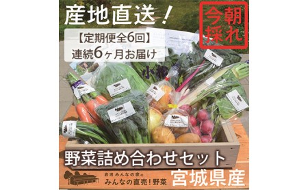 連続6ヶ月お届け！岩沼みんなの家の「みんなの直売！野菜」セット詰め合わせ