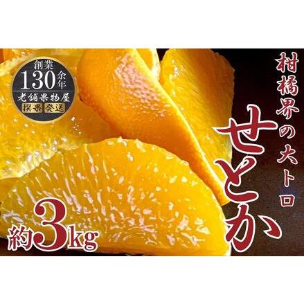 ふるさと納税 柑橘界の大トロ！せとか約３ｋｇ 香川県坂出市