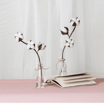 三朵乾燥花棉花 拍照道具拍攝背景插花永生花裝飾ins 拍照道具居家裝飾現貨 Yahoo奇摩拍賣 Line購物