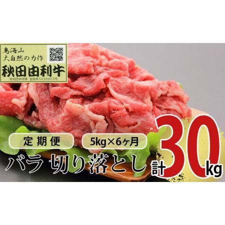 ふるさと納税 《定期便》6ヶ月連続 秋田由利牛 バラ切り落とし 5kg（1kg×5パック） 秋田県にかほ市