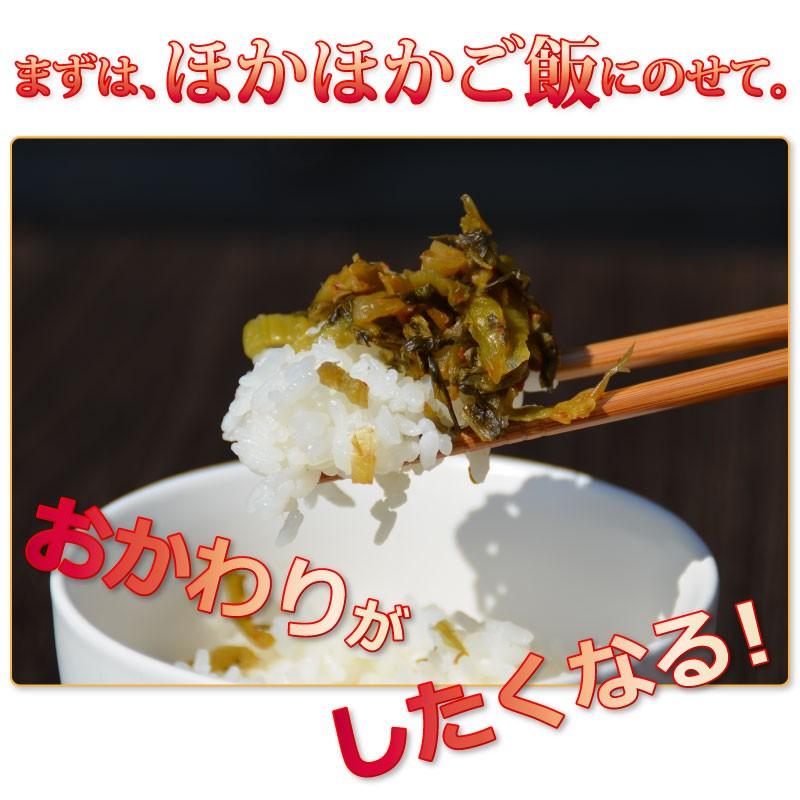 ＜からし高菜100g＞ 辛子高菜 たかな