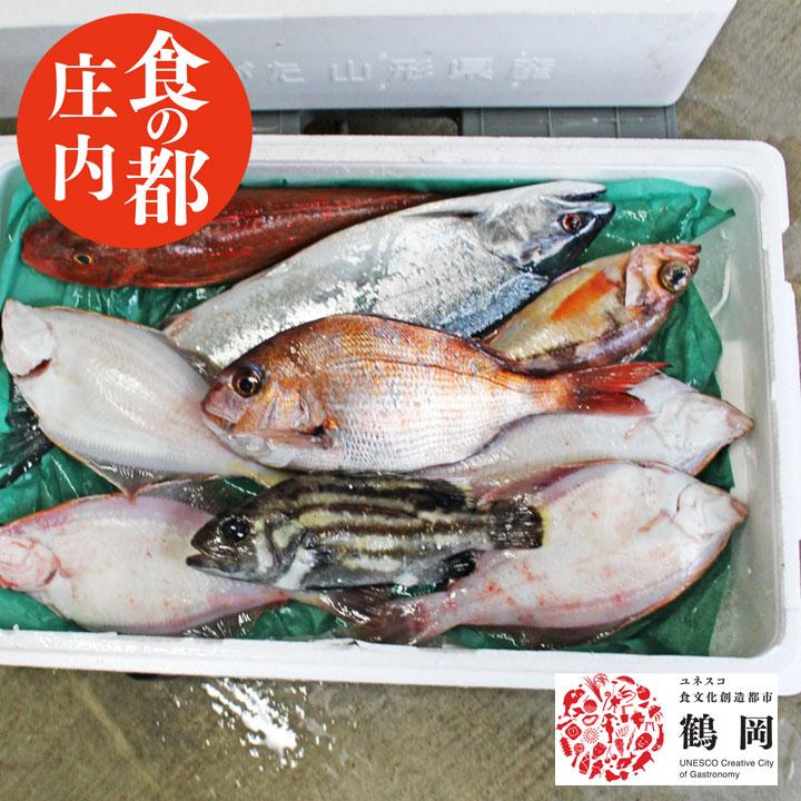 鮮魚ボックス セットA 山形県庄内産 鮮魚 詰め合わせ 直送 食の都庄内