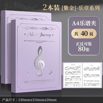 🔥臺灣出貨🔥真彩樂譜夾燙金封面簡約A4學生專用鋼琴歌譜樂譜收納冊透明資料冊