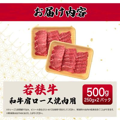 ふるさと納税 越前町 若狭牛 和牛肩ロース焼肉用 計500g(250g × 2パック)