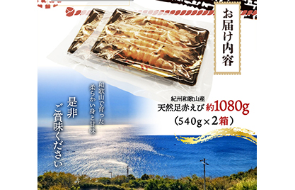 紀州和歌山産天然足赤えび540g×2箱（270g×4パック）　化粧箱入 ※着日指定不可 ※2023年11月上旬～2024年2月下旬頃に順次発送予定