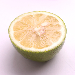 家庭用 黒潮レモン2kg 60g（傷み補償分） ※北海道・沖縄・離島への配送不可
