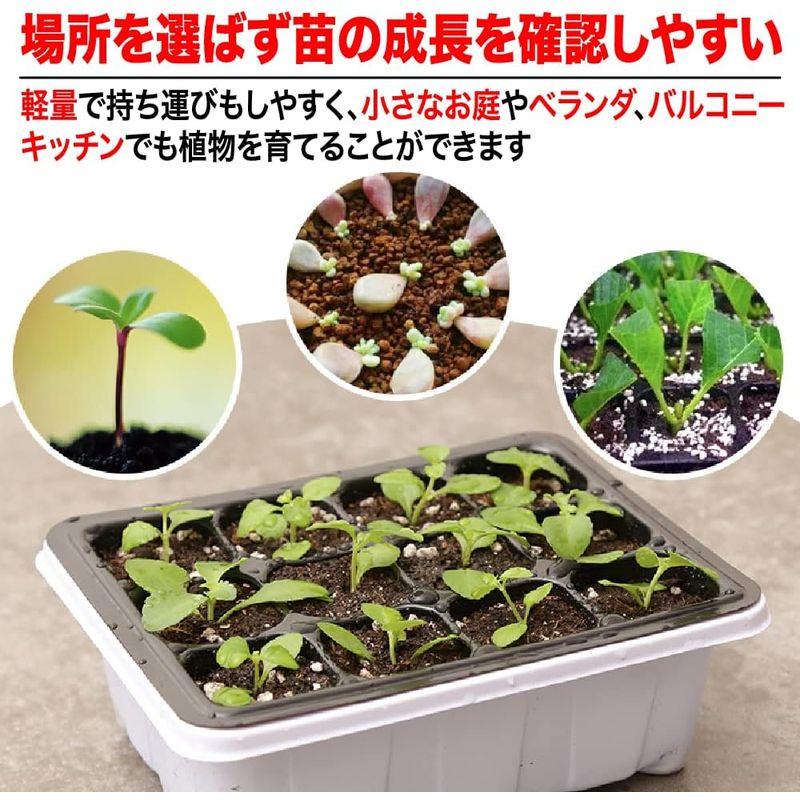 TKY 育苗ポット 育苗トレイ 種まき 家庭菜園 園芸用品 育苗箱 苗箱 植物 発芽 プランター 12穴 セット