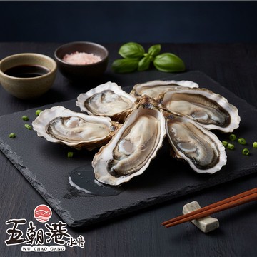 岩殼特大生蠔 13±2公分 ( 10顆包) 海鮮 生鮮 生蠔 韓國半殼生蠔 快速到貨 優惠