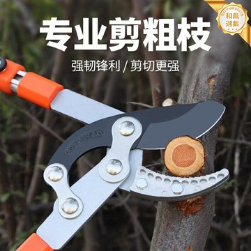 【強力伸縮】修枝剪 粗枝剪 果樹剪 園林剪 園藝剪刀 修枝剪刀 高枝剪 省力槓桿設計 加厚刀頭 防滑手柄 果樹園林修剪專用