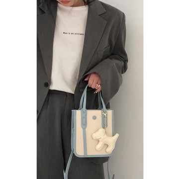 網紅高級感小眾設計包包女2024新款潮時尚通勤手提單肩斜挎小方包