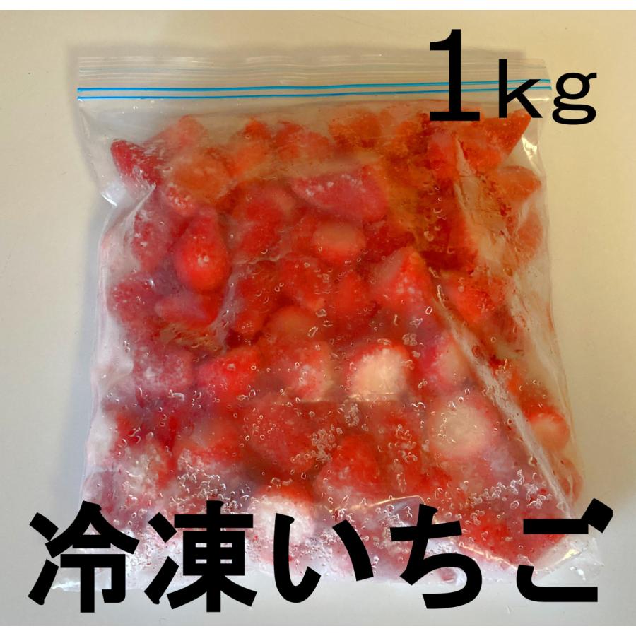 冷凍いちご 1kg 国産 減農薬 無添加 苺 イチゴ ストロベリー フルーツ